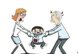 石家庄警方最新爆料,重大案件侦破背后的故事